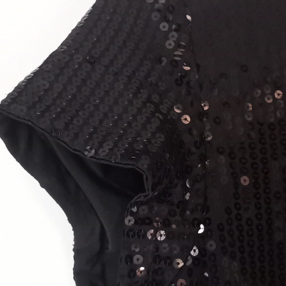 SOLD Anthropologie Dress Tulle Black Sequin Embellished Midi A-Line Stretch - Picture 9 of 12